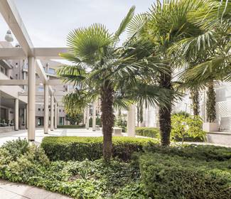 Terraza Hotel ILUNION Alcalá Norte Madrid Terraza Hotel ILUNION Alcalá Norte Madrid