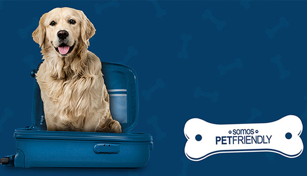 ¿Quieres viajar con tu mascota? ILUNION Hotels