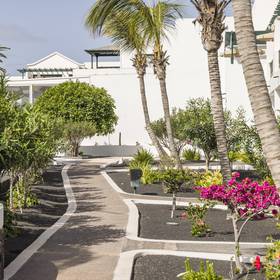 Jardín Hotel ILUNION Costa Sal Lanzarote Puerto del Carmen