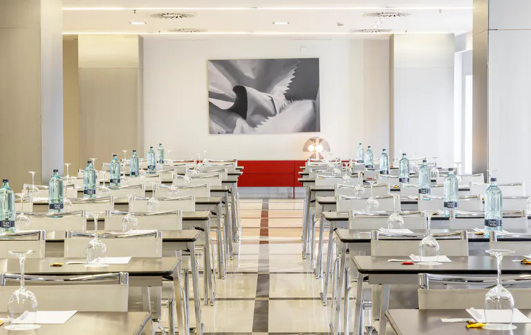 Ilunion Hotels