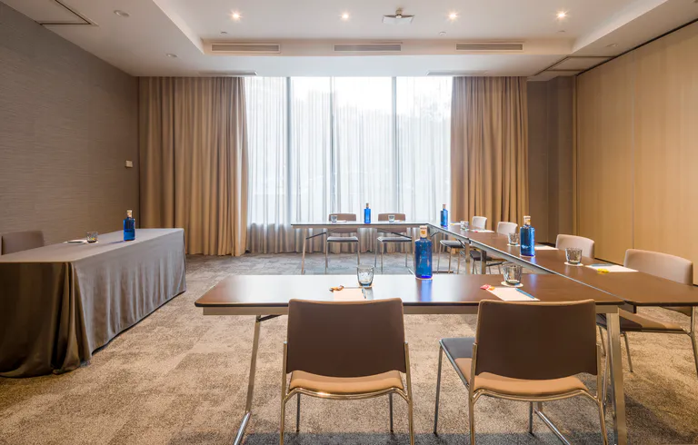 Ilunion Hotels
