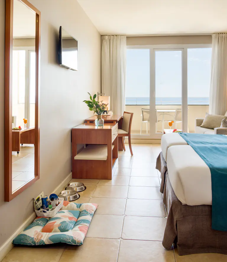 agua, cama y chuches para mascota