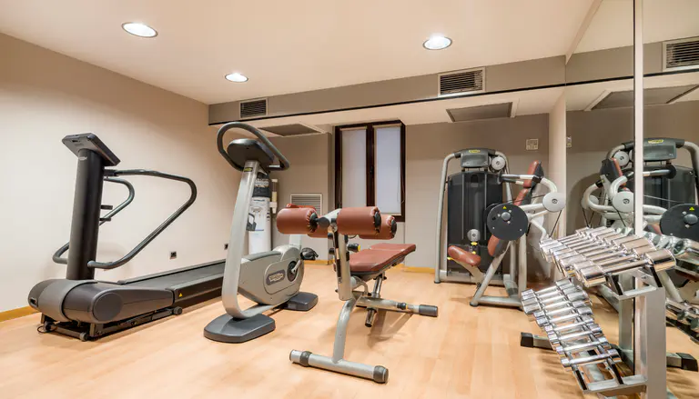 Link alla pagina dei servizi dell'hotel ILUNION Almirante