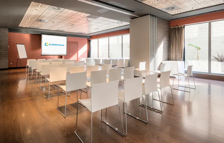 Ilunion Hoteles