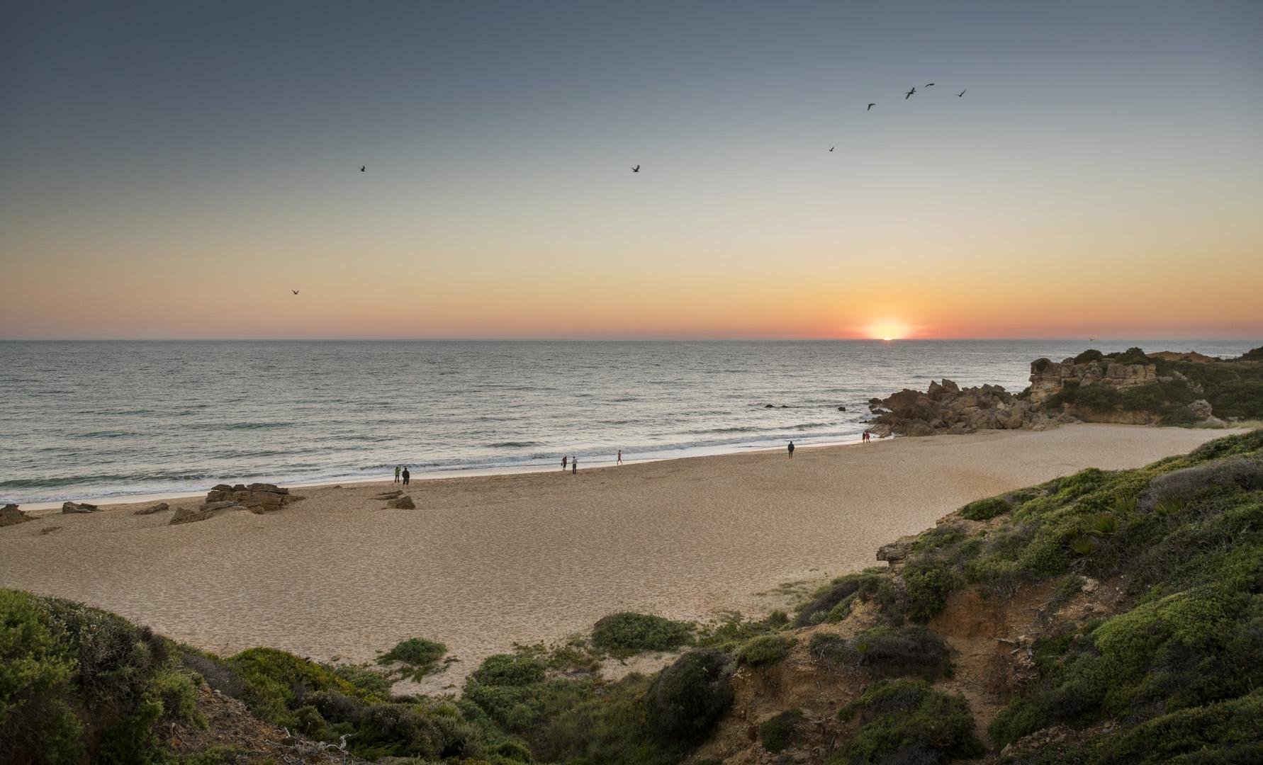 Foto - Ilunion Calas de Conil